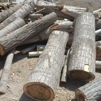 تولید و فروش پالت چوبی بصورت عمده|خدمات پیشه و مهارت|اصفهان, کوی امیریه|دیوار