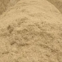 کاه گندم قیمت ۱۷.۵