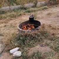 تهاتر باغ مثمر میوه با آپارتمان یا ماشین|فروش دفتر صنعتی، کشاورزی، تجاری|زاویه, |دیوار