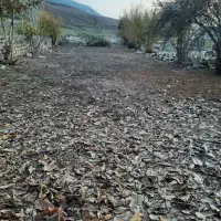 زمین باغی|فروش دفتر صنعتی، کشاورزی، تجاری|آزادشهر, |دیوار