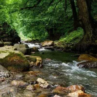 تور ویژه آبشار امرودک