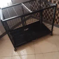 قفس سگ و گربه