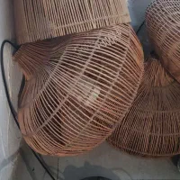 لوستر|لوستر و چراغ آویز|رشت, کاکتوس|دیوار