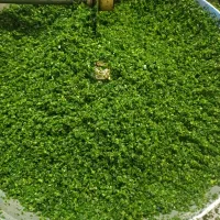 سبزیجات خورشتی