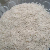 برنج طارم