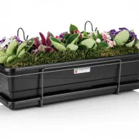 پخش انواع گلدان پلاستیکی کشاورزی و زینتی|گل و گیاه طبیعی|رشت, پل تالشان|دیوار