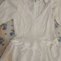 لباس مجلسی|لباس|اردبیل, |دیوار