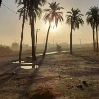 اجاره خانه شهدا بابان