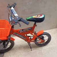 دوچرخه 12