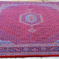 فرش ریز ماهی ۱۲ متری|فرش|زنجان, |دیوار