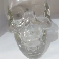 مجسمه جام جمجمه