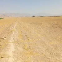زمین یاسوج برای معاوضه