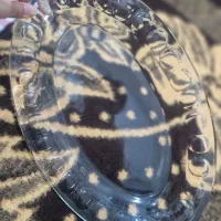 میوه خوری انگشتی و دیس