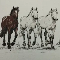 انجام خدمات چاپ پلاستیزول