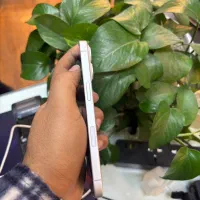 گوشی iPhone 16 نرمال ch/a باتری ۱۰۰|موبایل|گرگان, |دیوار