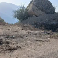 زمین باغی در روستای رضی
