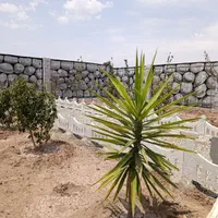 باغچه/۲۲۵ متر/محوطه سازی|فروش زمین و ملک کلنگی|شهریار, اصیل آباد|دیوار