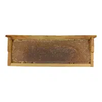 عسل طبیعی با موم اردبیل