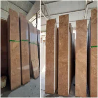 سنگ ساختمان ترااورتتن  مررمریت سنگ کوه ساختمانی|عمده‌فروشی|اهواز, کمپلو جنوبی|دیوار