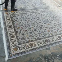 قالیشویی ومبل شوی مالک