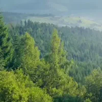 ۲۴۰ متر زمین تجاری با جواز ساخت (یاراحمدی)