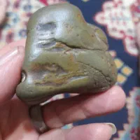 فسیل دایناسور در یشم