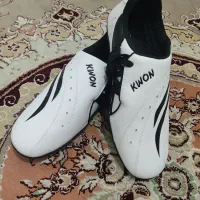 کفش کوان تکواندو