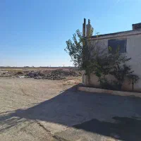 پیداشده بادادن