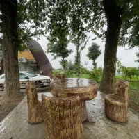 کلبه سوئیسی جنگلی|اجارهٔ کوتاه‌مدت ویلا و باغ|شیرگاه, |دیوار