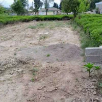 زمین با سند و پروانه|فروش زمین و ملک کلنگی|کومله, |دیوار