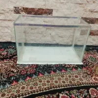 آکواریوم سالم