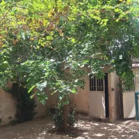 ویلایی-138متر-دونبش-2طبقه-مستقل-واقع-درخ-دهستانی