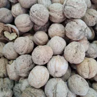 گردو درجه یک پوست کاغذی لرستان|خوردنی و آشامیدنی|تهران, ایرانشهر|دیوار