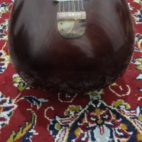 تار|سازهای سنتی|شیراز, پارک آزادی|دیوار
