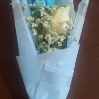فروش ۲۵گل