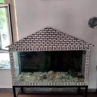 آکواریوم|ماهی|صوفیان, |دیوار