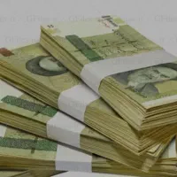 نیازمند سرمایه برای پروژه