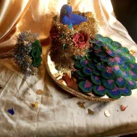 کرایه لباس مجلسی|لباس|شیروان (خراسان), |دیوار