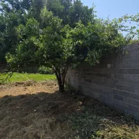 زمین مسکونی ۶۰۰متری/دور دیوار/محدوده کوچصفهان|فروش زمین و ملک کلنگی|کوچصفهان, |دیوار