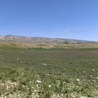 فروش زمین کشاورزی