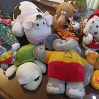 تعدادی عروسک مارک و یک عدد لاکپشت