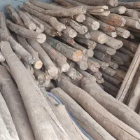 خرید و فروش چوب خشک