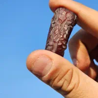 فروش تناژ خرما پیارم|خوردنی و آشامیدنی|اوز, |دیوار