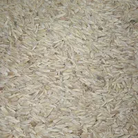 جو و گندم|حراج|کنگاور, |دیوار