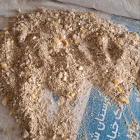 کنسانتره خوراک دام