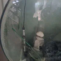 آکواریوم|ماهی|اصفهان, خواجو|دیوار