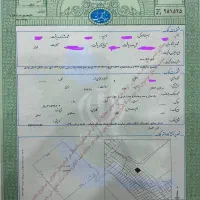 زمین-ویلایی-350-متری-تنبک-نخل-غانم