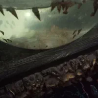 حلزون رامشورن و مالزیایی