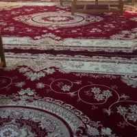 فرش ۱۲ متری یه جفت|فرش|رودسر, |دیوار