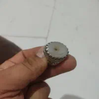 شجر|بدلیجات|مشهد, آزادشهر|دیوار